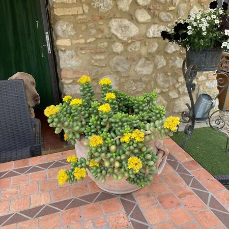 Casa Gavenniae Bed & Breakfast Nocciano Bagian luar foto