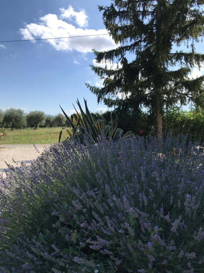 Casa Gavenniae Bed & Breakfast Nocciano Bagian luar foto