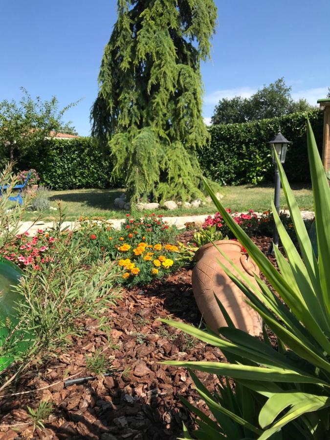 Casa Gavenniae Bed & Breakfast Nocciano Bagian luar foto