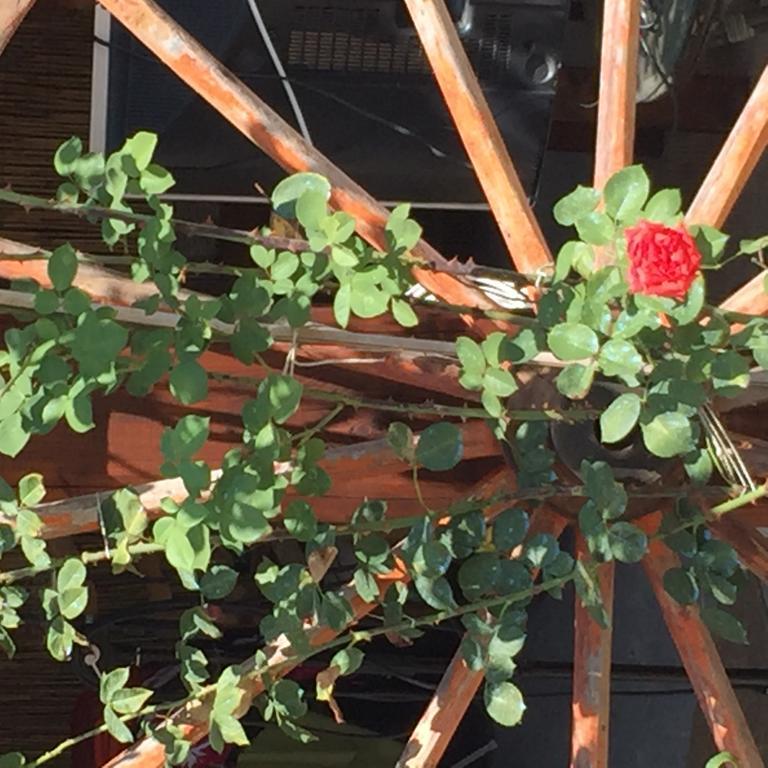 Casa Gavenniae Bed & Breakfast Nocciano Bagian luar foto